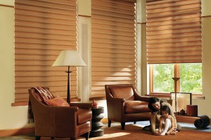 Mother and child playing on the floor in front of windows covered by roman shades, 2 shades closed, one partly opened