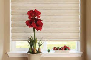 Cordless White roman shade in kitchen window, bright red flowers and a bowl of bright red strawberries at window sill